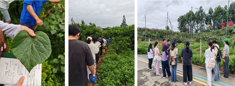 首個！中國農業大學攜手新朝陽啟動“朝陽稼穡計劃”