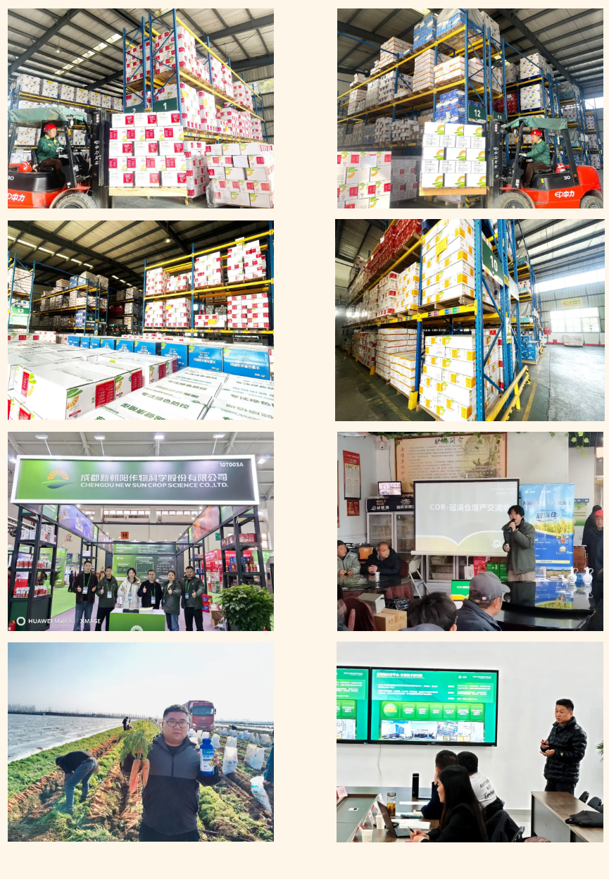 快馬加鞭戰(zhàn)春耕，馬年奮進(jìn)正當(dāng)時